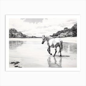 A Horse Oil Painting In Anse Cocos, Seychelles, Landscape 2 Art Print