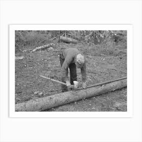 Marking Pulpwood For Cutting Into Lengths At Camp Near Effie, Minnesota By Russell Lee Art Print