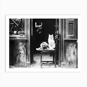 Cats Wearing Sunglasses in Front Of Shop, Vintage Black and White Old Photo Art Print