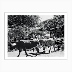 Texas Longhorns - Downtown Fort Worth Texas Art Print