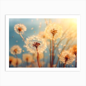 Dandelion 25 Art Print