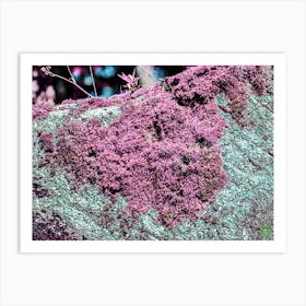 Purple Moss 202308181721262pub Art Print