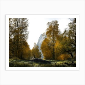 Autumn In Yosemite Art Print