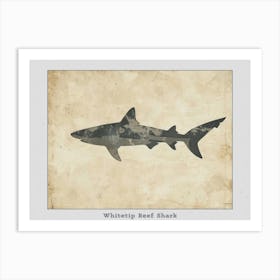 Whitetip Reef Shark Shark Silhouette 7 Poster Art Print