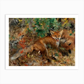 Vintage Red Foxes Art Print