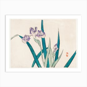 Irises, Kōno Bairei Art Print