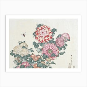 Chrysanthemums Art Print