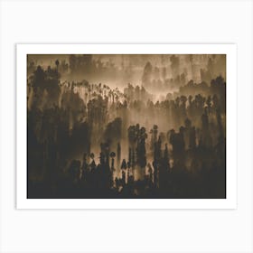 Foggy Forest Art Print