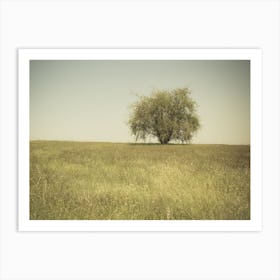 Single Tree In An Open Grassy Field Meadow Art Print