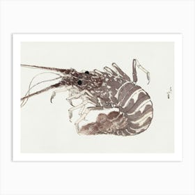 Katsushika Hokusai Prawn Art Print