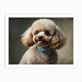 Portrait Of A Poodle 1 Art Print