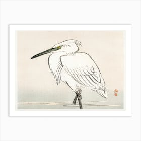 Snowy Egret, Kōno Bairei Art Print