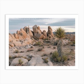 Boulder Field In Desert Art Print