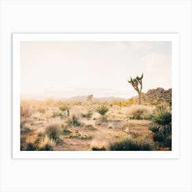 California Desert Art Print