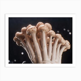 Mushrooms 1 Art Print