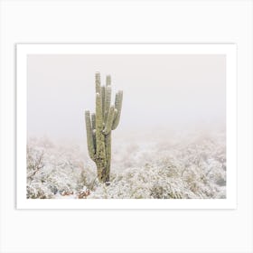 Snow Storm Cactus Art Print