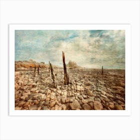 Holy Island Of Northumberland Art Print