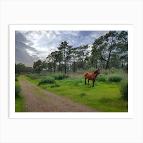 Horse In The Forest Art Print