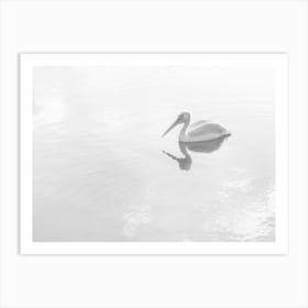 A Black And White Pelican In Mirror Water Art Print