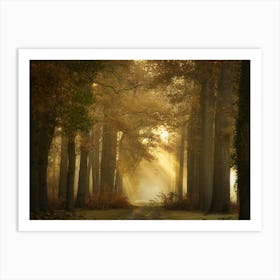 Forever Forest Art Print