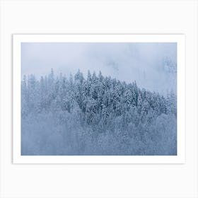 Winter Forest And Fog Art Print