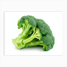 Broccoli On White Background Art Print