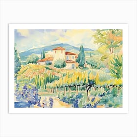 Watercolor Of A Vineyard Art Print