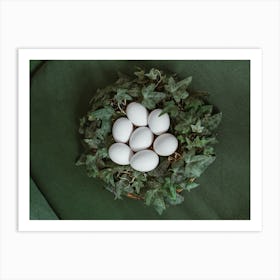 Eggs In A Nest 1 Art Print