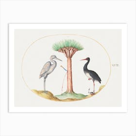 White Heron And Black Stork Killing A Snake With A Dragon S Blood Tree (1575–1580), Joris Hoefnagel Art Print