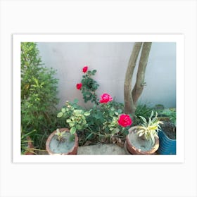 Roses By Binod Dawadi Art Print