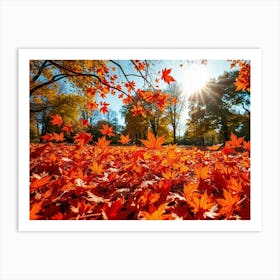 Autumn Leaves 11 Art Print