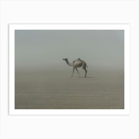 Lonely Camel In The Desert Art Print