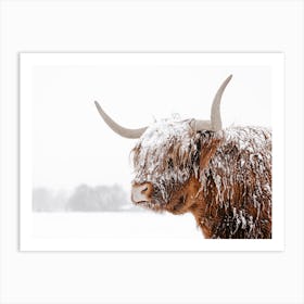 Snowy Highland Cow Art Print