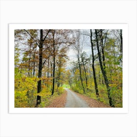 Autumn Road 18 Art Print