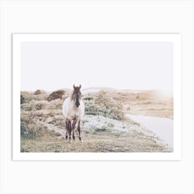 Coastal Pony Art Print