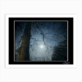 The Night Art Print