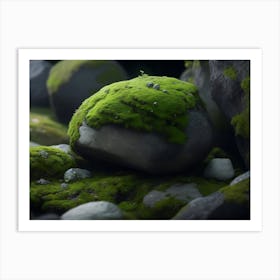 Small Moss And Lichen Growing Between Rocks Art Print