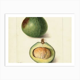 Fig And Avocado Art Print