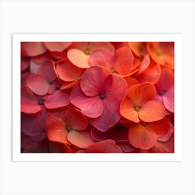 Hydrangeas Art Print