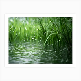 Green Grass In The Rain Art Print