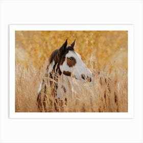 Warm Fall Wheat Field Horse Art Print