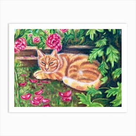 Cat In The Garden Art Print