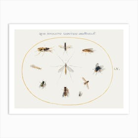 Flies And Other Insects (1575–1580), Joris Hoefnagel Art Print