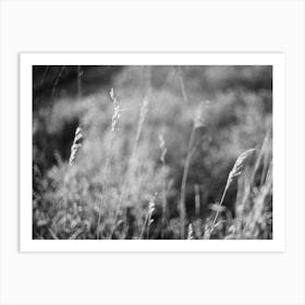 Waving Grass Art Print