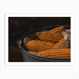 Corn On The Cob Art Print