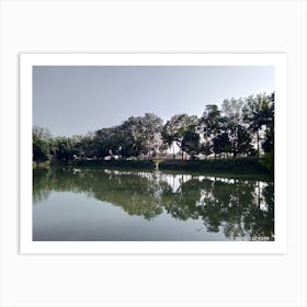 Tress beside a river creating a beautiful scenery in between blue sky Art Print