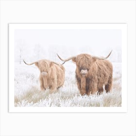 Two Highland Cows Art Print