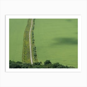 Aerial view of a path crossing green fields Art Print