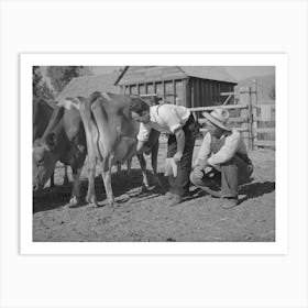 Fsa (Farm Security Administration) Supervisor Explaining The Fine Points Of A Cow, Box Elder County, Utah By Russ Art Print