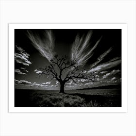 Black And White Tree Art Print